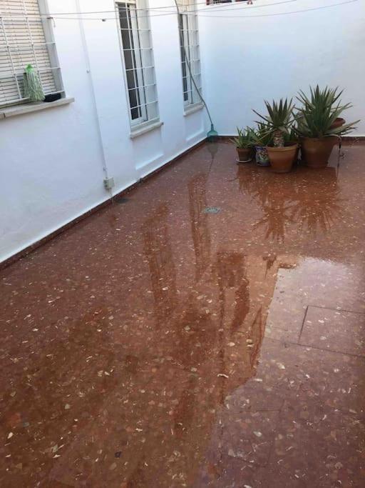 Casa Soleada En Calle Tranquila Seville Luaran gambar