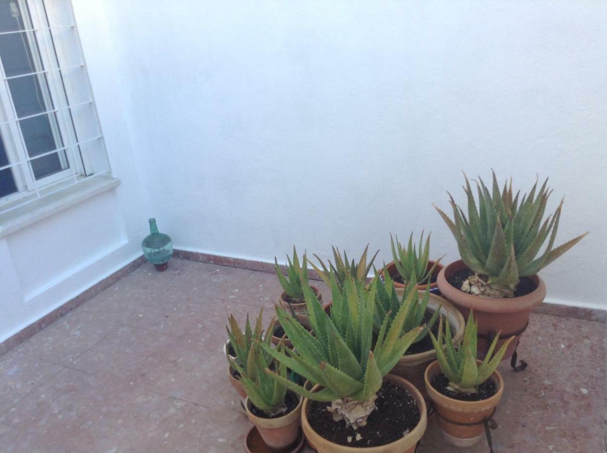 Casa Soleada En Calle Tranquila Seville Luaran gambar